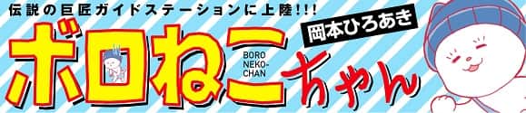 ボロねこちゃん