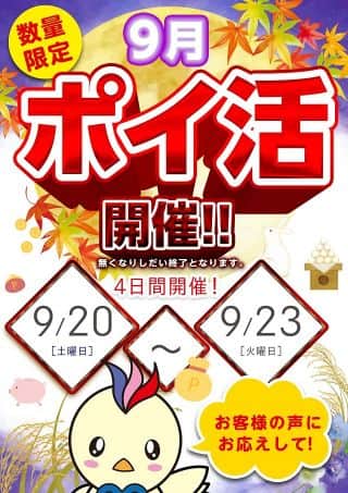 ！！！ポイ活開催！！！
