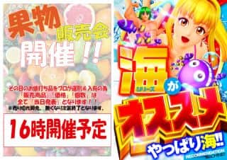 本日も果物販売会  開催致します！  