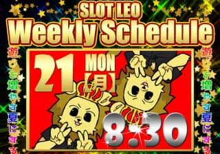 昨日の勢いに便乗だ！3⃣連休最終日も見逃すなッ❇️🫵