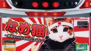 機種基本情報