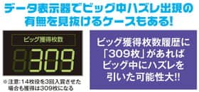 バーサスのビッグ中設定推測の紹介