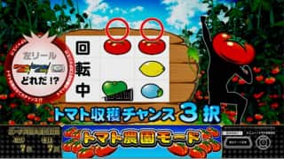 新台 6号機 スーパーリノSPのトマトチャンス
